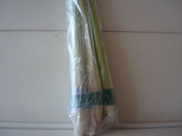 Fresh lemon grass or Tanglad