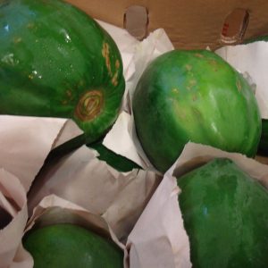 Fresh Green Papaya 500g-650g (Available Monday & Wednesday)