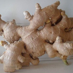 Luya - Fresh Ginger  500g.