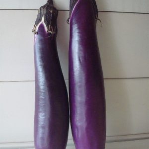 Talong - Egg plant or Aubergine  500g. Large