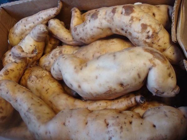 White Sweet  Potato 1kg.